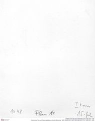 Historisches Foto von Cracensigillatus acutirostris (Moericke, 1889) (NHMW-AFW-GEO-BACHMAYER-FOTO-1990-0041-1448)